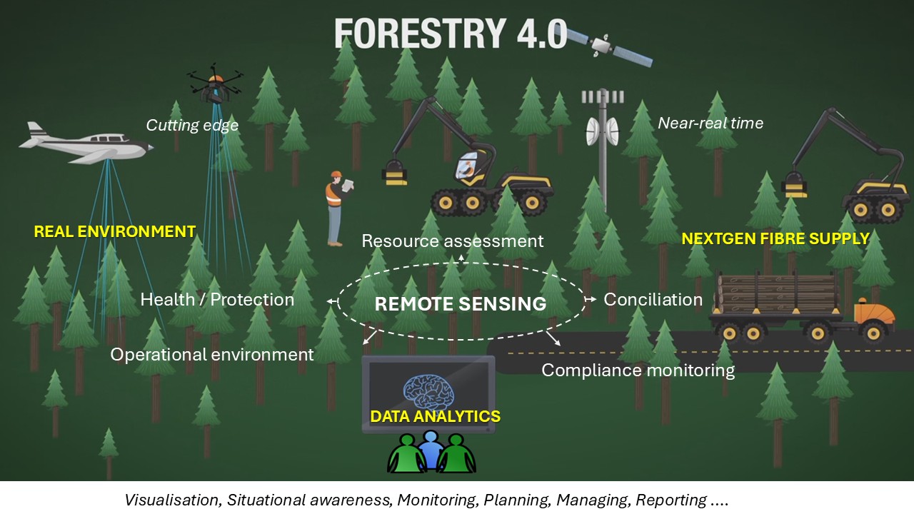 Forest